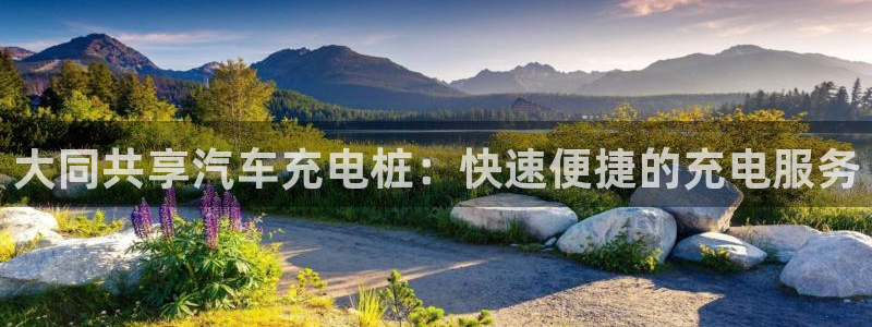 威廉希尔500欧洲指数怎么看：大同共享汽车充电桩：快速便捷的充电服务