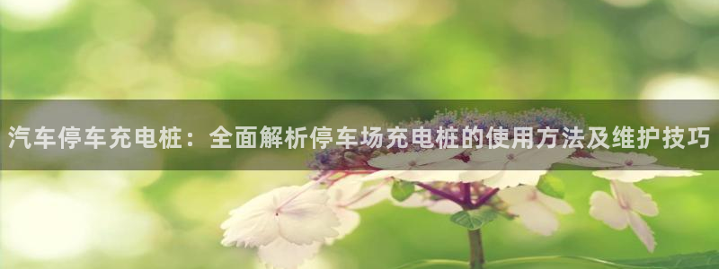 国内可以在威廉希尔买球吗：汽车停车充电桩