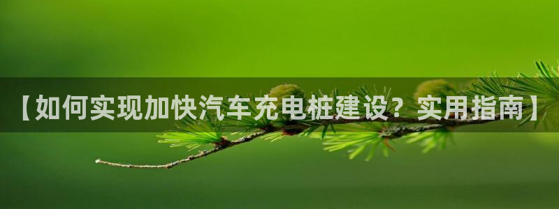 威廉希尔分析和结论：【如何实现加快汽车充