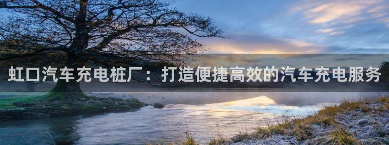 威廉与澳门的关系：虹口汽车充电桩厂：打造便捷高效的汽车充电服务