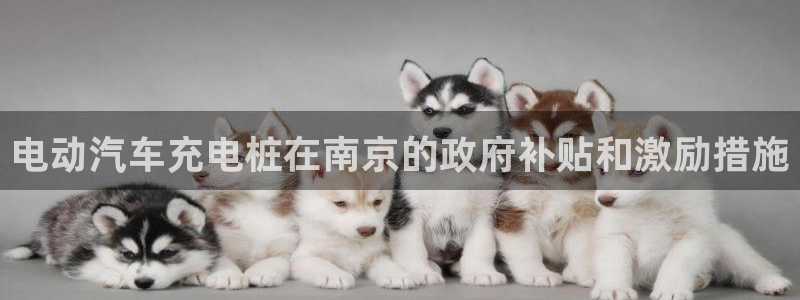 威廉希尔公司官方网站app：电动汽车充电