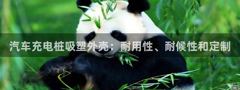 威廉希尔返还率特点：汽车充电桩吸塑外壳：耐用性、耐候性和定制

