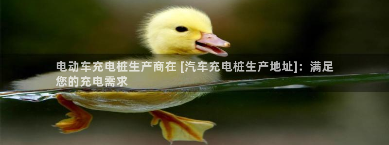 威廉希而：电动车充电桩生产商在 [汽车充