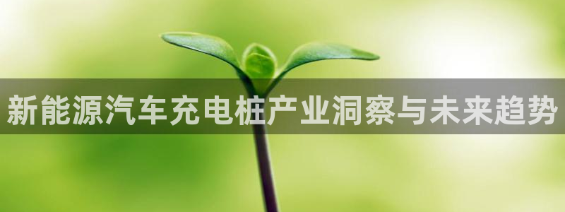 威廉打球：新能源汽车充电桩产业洞察与未来趋势