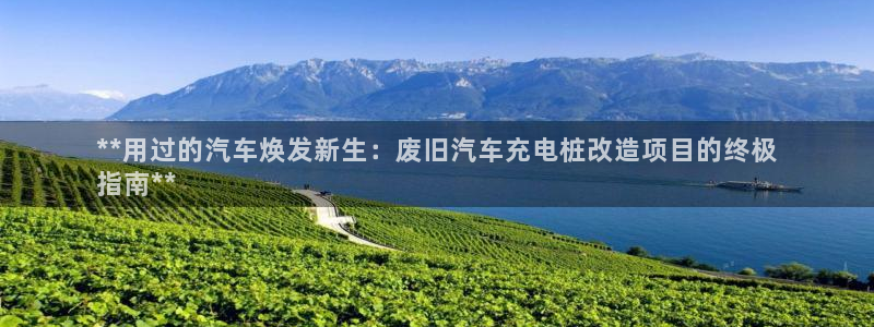 威廉希尔买入量从哪里看：**用过的汽车焕发新生：废旧汽车充电桩改造项目的终极
指南**