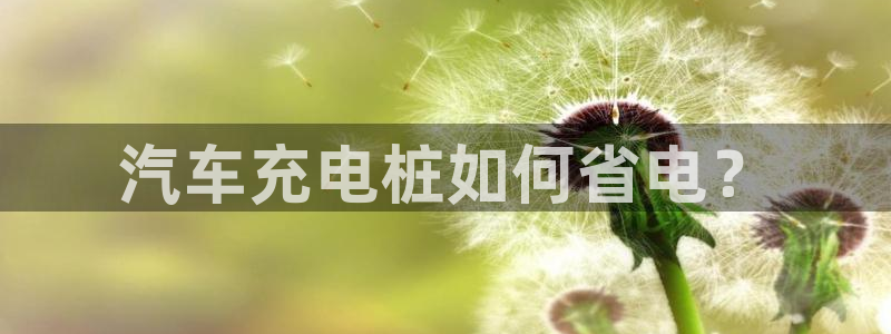 威廉希尔能提现吗：汽车充电桩如何省电？