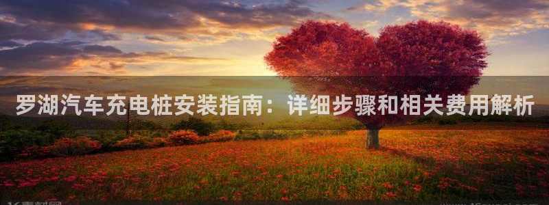 威廉国际是一个什么平台：罗湖汽车充电桩安装指南：详细步骤和相关费用解析