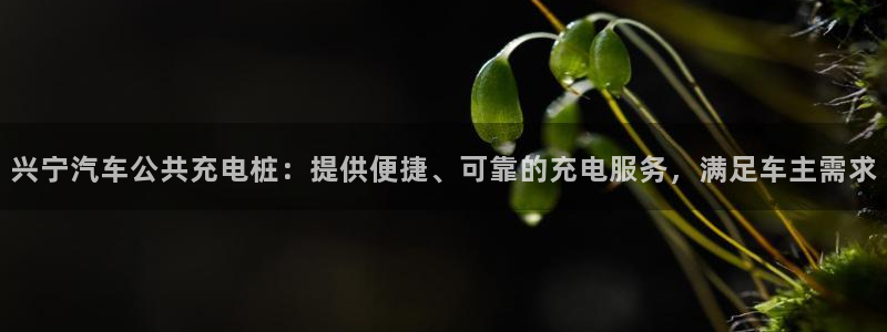威廉娱乐2023官方版-4.12 Inurl:fayunsi：兴宁汽车公共充电桩：提供便捷、可靠的充电服务，满足车主需求