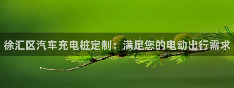 威廉希尔操盘手法总结：徐汇区汽车充电桩定制：满足您的电动出行需求