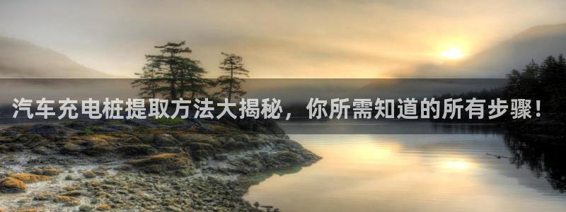 威廉希尔是哪国的平台：汽车充电桩提取方法