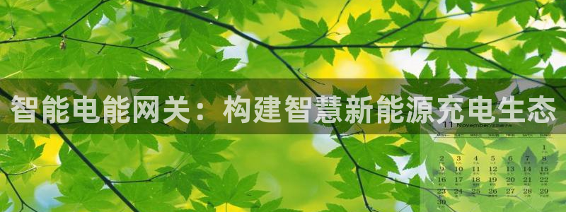 威廉官网登录：智能电能网关：构建智慧新能源充电生态