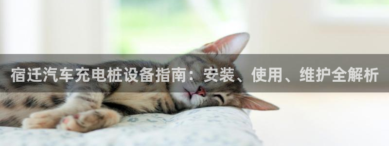 威廉希尔有限公司官网：宿迁汽车充电桩设备指南：安装、使用、维护全解析