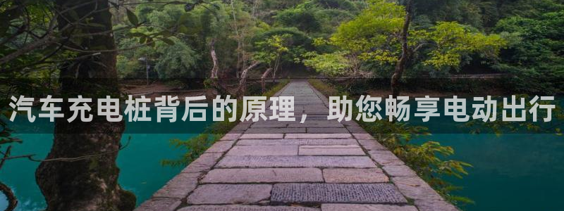 威廉希尔一年赚多少钱：汽车充电桩背后的原