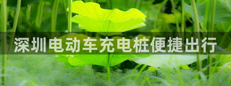 威廉希尔中文网站是不是真的：深圳电动车充