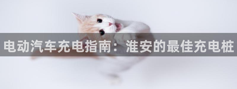 有没有威廉国际这个平台：电动汽车充电指南