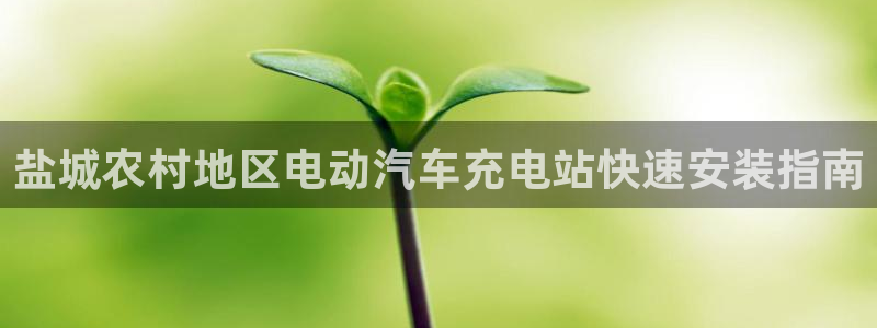 j联赛威廉希尔：盐城农村地区电动汽车充电
