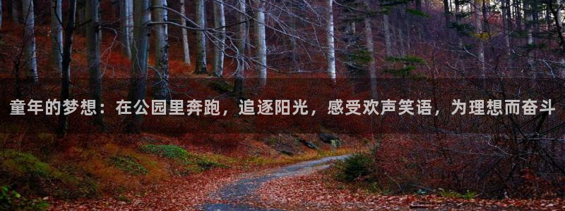 球客岛：童年的梦想：在公园里奔跑，追逐阳光，感受欢声笑语，为理想而奋斗