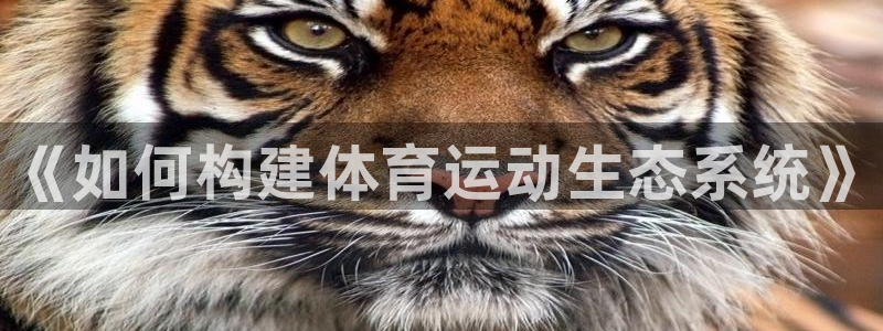 球客岛：《如何构建体育运动生态系统》