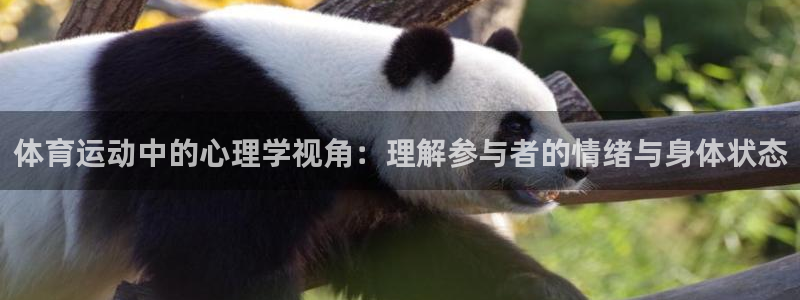 球客岛：体育运动中的心理学视角：理解参与者的情绪与身体状态