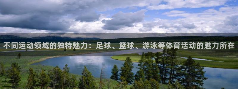 球客岛：不同运动领域的独特魅力：足球、篮球、游泳等体育活动的魅力所在