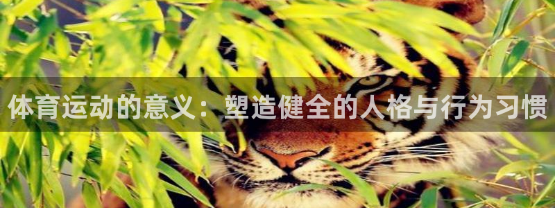 球客岛：体育运动的意义：塑造健全的人格与行为习惯