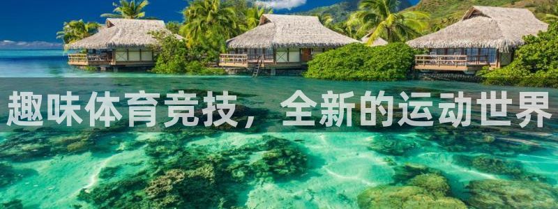 球客岛：趣味体育竞技，全新的运动世界